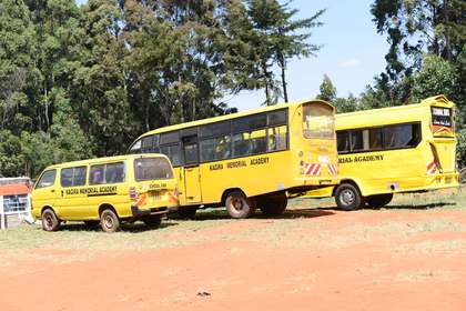 A row of school buses parked together.