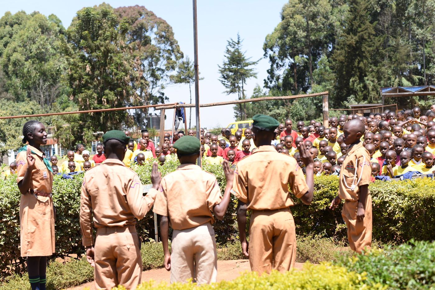 Scouts standing in formation during a school assembly.